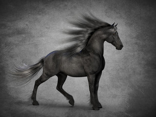 Obraz na płótnie Canvas Beautiful black horse. 3D rendering