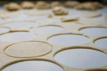 Obraz premium Traditional polish dumplings (called pierogi ruskie) filled with potatoes and cottage cheese. 
