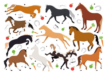 Illustration with horses. Illustration pattern with a horse, stirrups, bit, horseshoe, saddle, bridle, apple, carrot. Illustration of horses and horse harness.