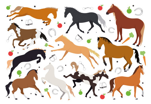 Illustration with horses. Illustration pattern with a horse, stirrups, bit, horseshoe, saddle, bridle, apple, carrot. Illustration of horses and horse harness.