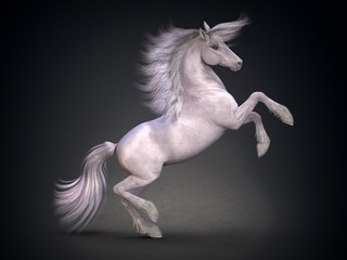 Fototapeta na wymiar Beautiful white horse. 3D rendering