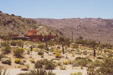 Desert homes near Joshua Tree National Park