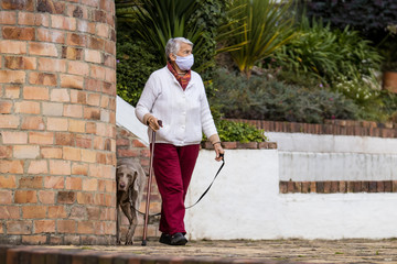 Senior woman wearing a home made face mask and having a short walk outdoors with her pet during the coronavirus quarantine de-escalation