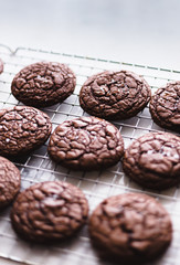 Chocolate brownie cookies on a cookie rack
