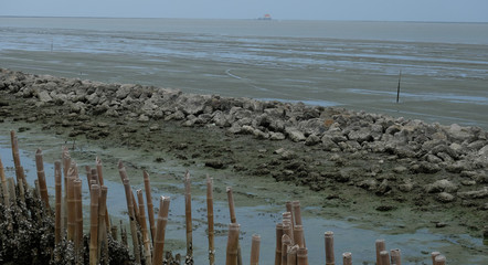 Bamboo sticks,mud,rocks,and the sea 1