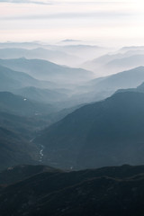 Fototapeta premium Sunset over redwood trees in Sequoia National Park, California, USA