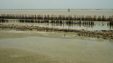 Landscape of wetlands and the sea 2