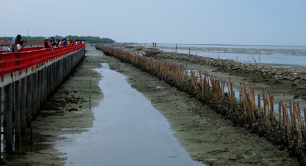 Travelers on red bridge seeing wetlands and the sea