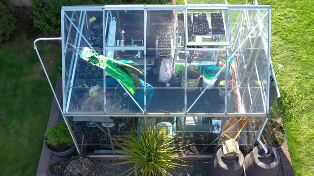 Aerial view of an elderly gardener watering her plants in her backyard greenhouse in the sunset. Windsock flowing with the wind.