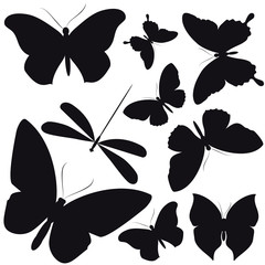 butterfly633