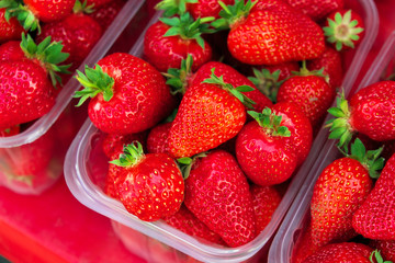Tasty juicy strawberry berries in boxes, on the market