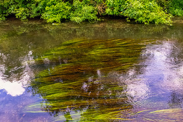 River Test in Mottisfont, Hampshire, United Kingdom