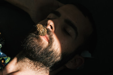 Naklejka premium Man with a fresh cannabis bud in his mouth
