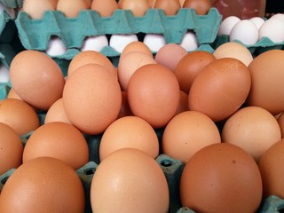 eggs are nutritious and serve for various recipes!