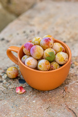 Juicy yellow cherry plum in a clay bowl on a concrete surface in the yard. Top view. Closeup. Soft focus.