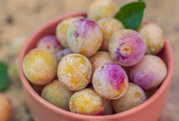 Juicy yellow cherry plum in a clay bowl. 