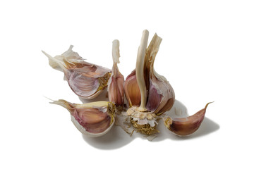 Garlic half with cloves, healthy vegetables, spices, fresh garlic isolated on a white background.