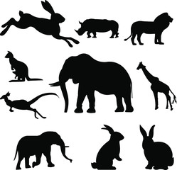 A set of shadow wildlife with a white background. Elephants, giraffes, lions, rabbits, kangaroos, rhinos. Collection of animals.