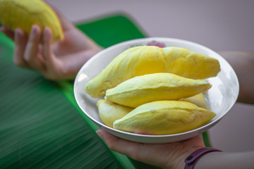 A close-up view of the seasonal fruit that one of the most popular (Durian) that is cut from the tree and placed for sale, has a sweet and delicious flavor.