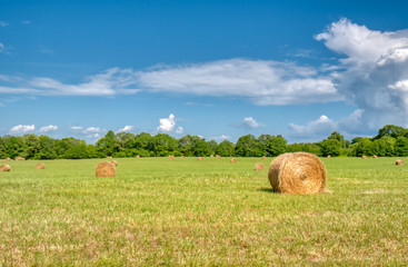 Hay bales in a fresh cut field with a beautiful blue sky.