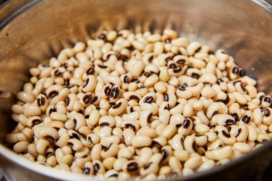 Porotos de Soja 6