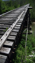 Monon High Bridge travels through the tree tops in Carrol County near Delphi Indiana 