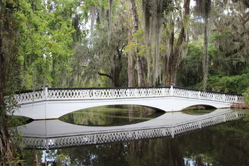 bridge over the river