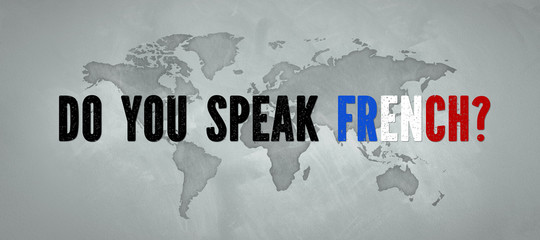 background with world map and message DO YOU SPEAK FRENCH?