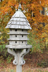 bird house