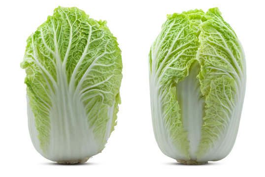 Chinese cabbage isolated on white background