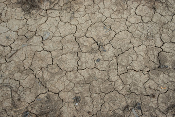Dried land on the farmhouse in the Southern Thailand