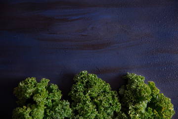 Kale leafs on a wet blue surface.