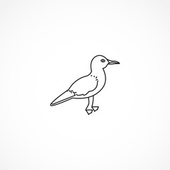 seagull line icon. seagull isolated line icon