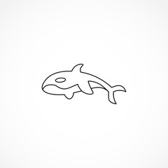 killer whale icon. Orca line icon. Orca isolated line icon