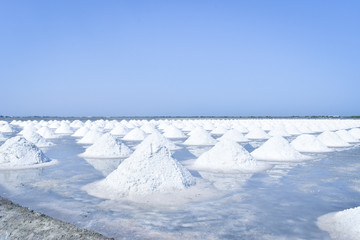 Many piles of white salt dried in the sun, arranged in beautiful rows, with a clear blue sky behind...