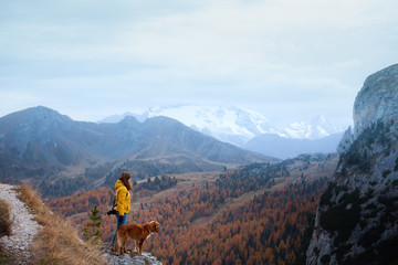 Fototapeta premium person with a dog in the mountains. travel, hiking with a pet. Nova Scotia retriever with a girl.