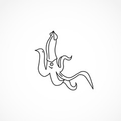 Squid line icon. Squid isolated line icon