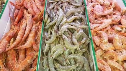 Different types of wild catch shrimps pile in fresh wet market