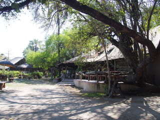 Camp site surrounded by nature, Okavango River Lodge, Botswana