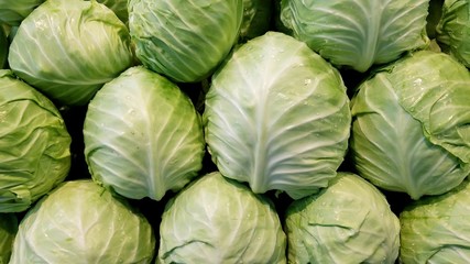 Fototapeta premium Green cabbage in the market, pile it up ready for sale