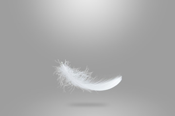 Light fluffy white feather floating in the air. soft single feather abstract background
