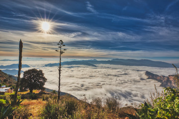 Obraz premium Sunrise on top of a hill and a sea of clouds down below panorama
