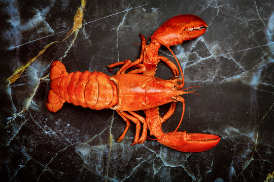 Red boiled lobster seafood on black plate background