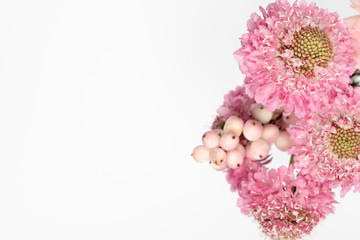 Pin Scabiosa flowers with snowberries  on white background floral feminine flatlay