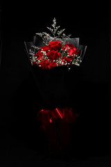 Romance  Red Rose Blooming Flower for Valentine Lover 
