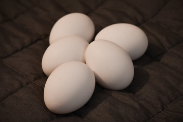 SANTIAGO, CHILE, MAYO 23, 2020: Grupo de huevos sobre un fondo oscuro