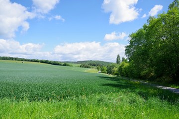 Landwirtschaft Ackerland