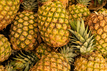Pineapples are ripe. Hawaiian pineapples background. A lot of pineapple fruit background.