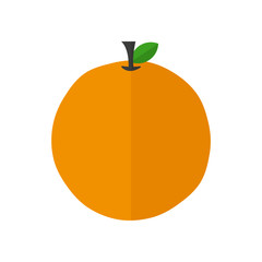 orange fruit vector illustration