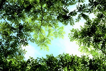 緑がいっぱいの日